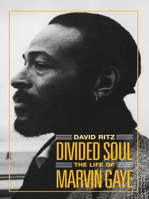 cover image of Divided Soul